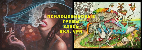 соль ск Абаза